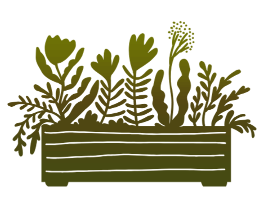 Garden and Plant Design